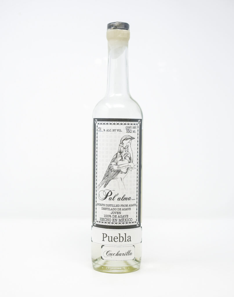 bottle of sotol spirit displayed on a clean white background, showcasing the label and clear glass, emphasizing its smooth and refined presentation.
