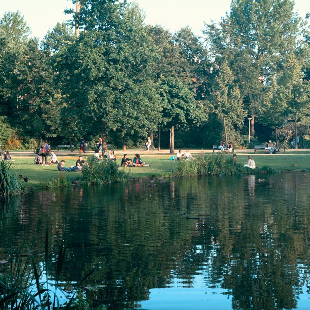 Summer afternoon in Amsterdam’s Vondelpark with trees reflecting in the pond and people relaxing on the grass