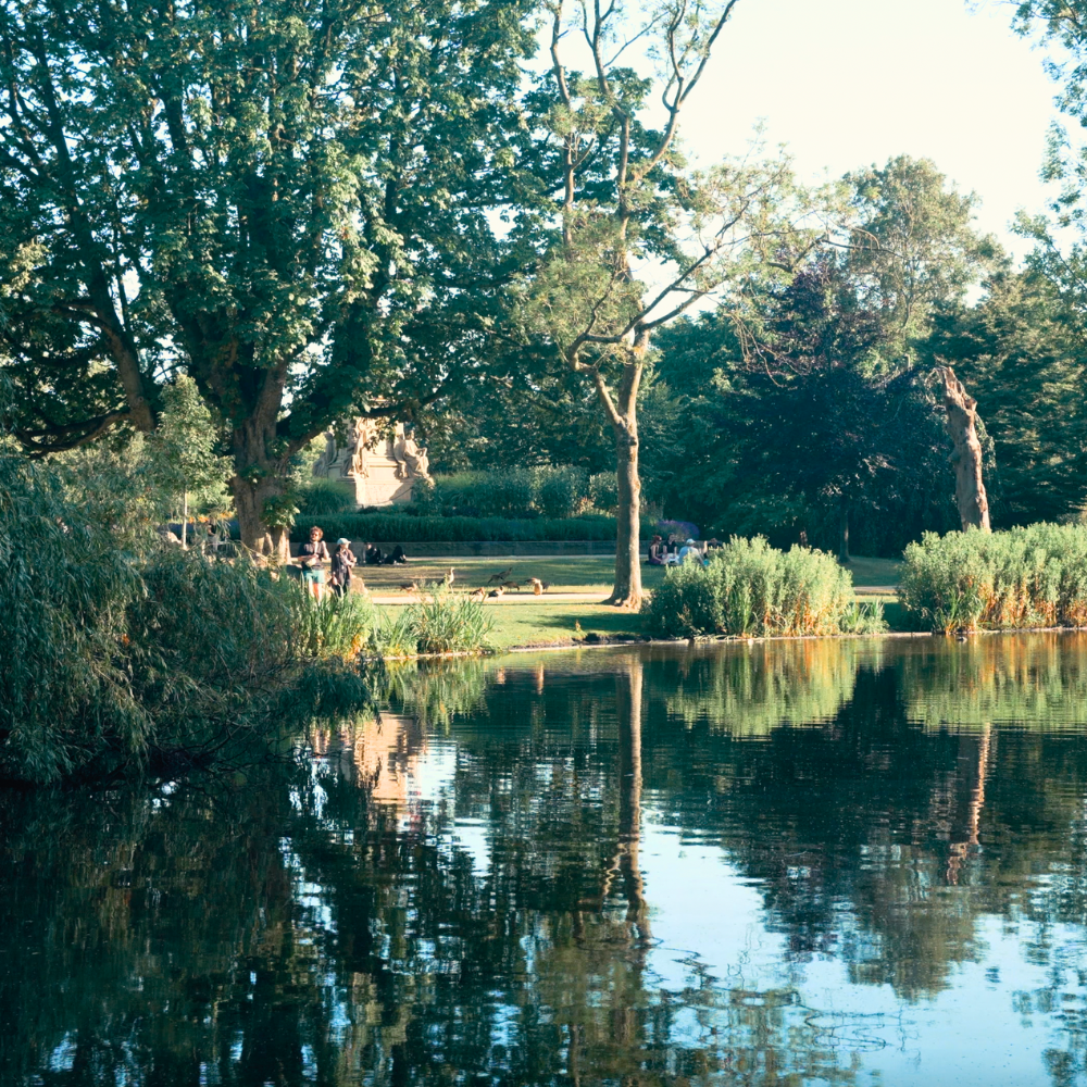 Summer afternoon in Amsterdam’s Vondelpark with trees reflecting in the pond and people relaxing on the grass