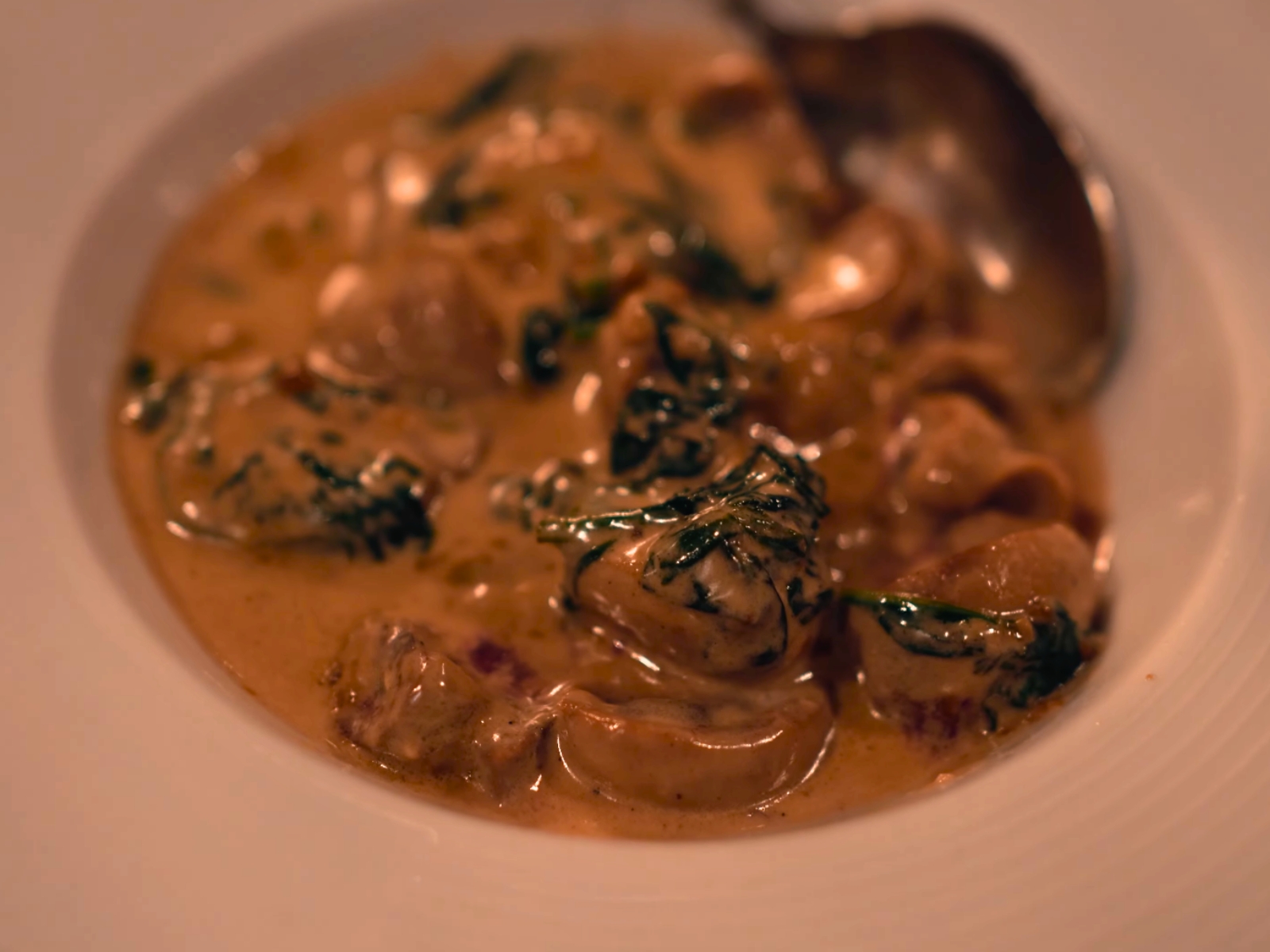 A close-up of a rich, slow-simmered traditional Lyonnaise meat dish at Le Bouchon des Filles.